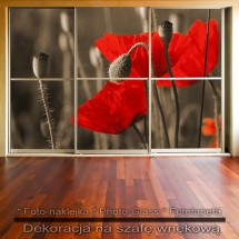 Czerwień Maków - dekoracja na szafę