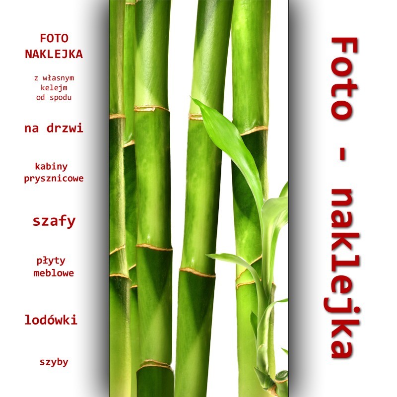 Foto-naklejka - bambus
