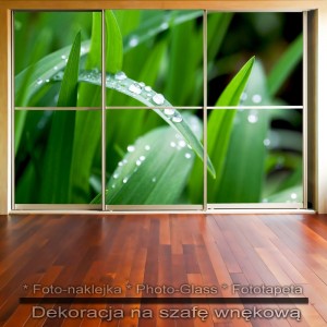 Trawa - dekoracja na szafę