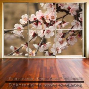 Wiosenne kwiaty - dekoracja na szafę