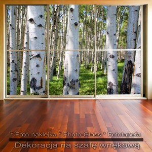 Brzozy - dekoracja na szafę