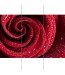 Czerwona róża - dekoracja na szafę