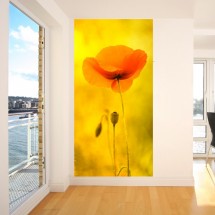 Fototapeta Pastela Makowa