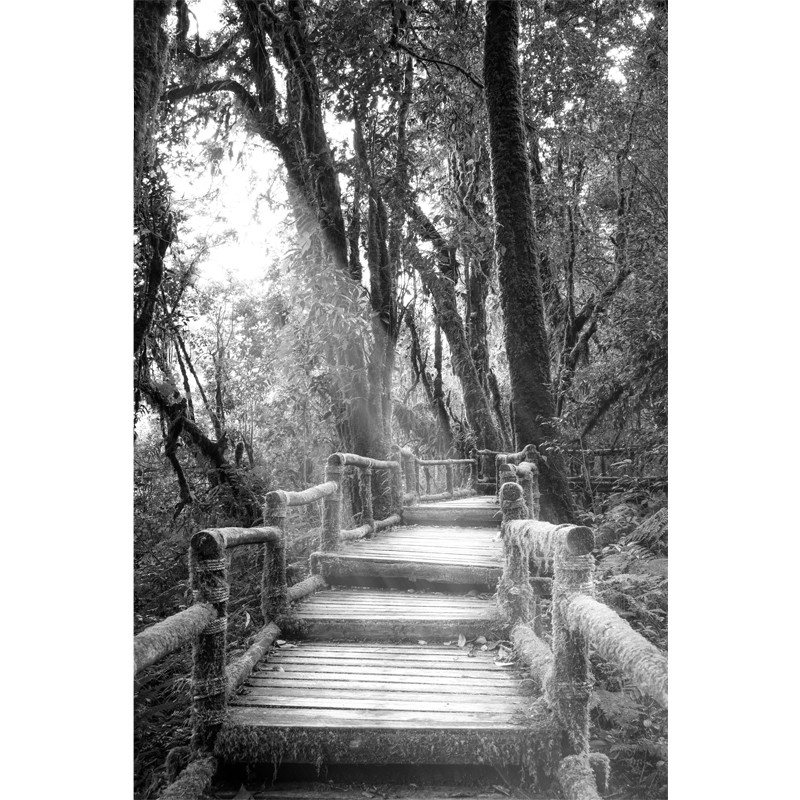 Czarno biała fototapeta - most