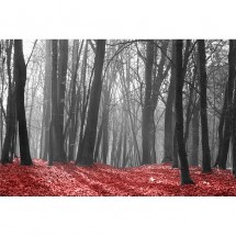 Fototapeta czerwone liście i szare drzewa