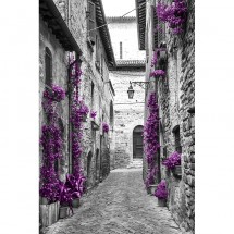fototapeta uliczka czarno biała z fioletowym