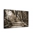 Obraz na ścianę drewniane schody w lesie