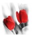 Fototapeta czerwone tulipany