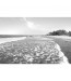Fototapeta wybrzeże - Bałtyk - czarno biała