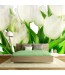 Fototapeta białe tulipany na ścianie w sypialni