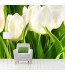 Fototapeta na ścianę kwiaty - zielone tulipany