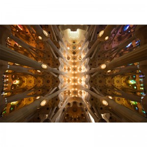 Fototapeta Sagrada Familia - sklepienie