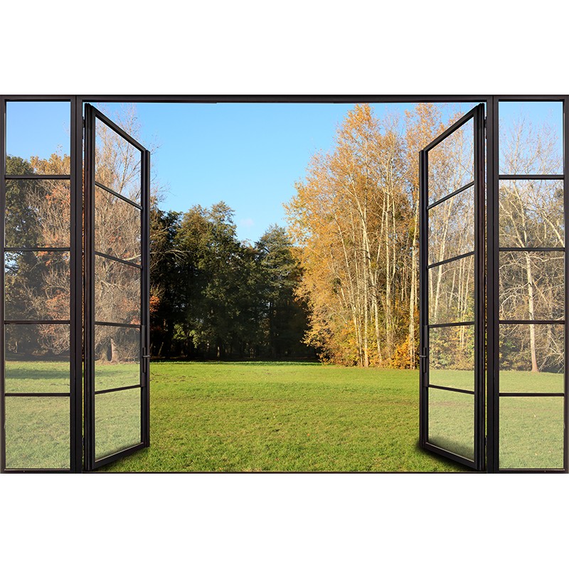 Fototapeta okno z widokiem na drzewa