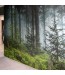 Fototapeta las w sypialni montaż w Trzebnicy