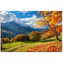 Krajobraz Jesienny Obraz nr 10076