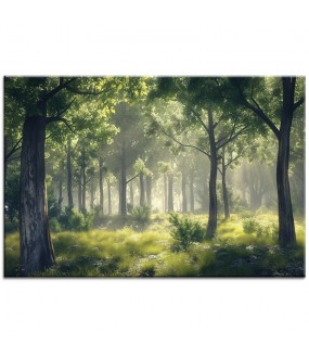 Polana w Lesie – Obraz nr 10098