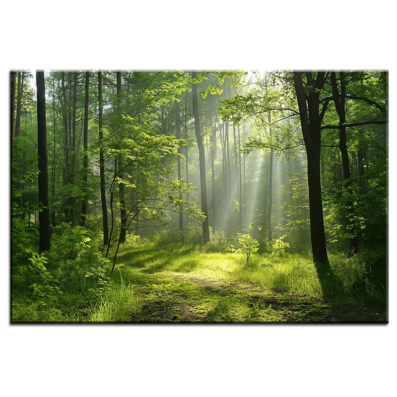 Szepty Lasu – Obraz nr 10107