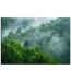 Obraz Mgliste Zacisze Lasu nr 10108