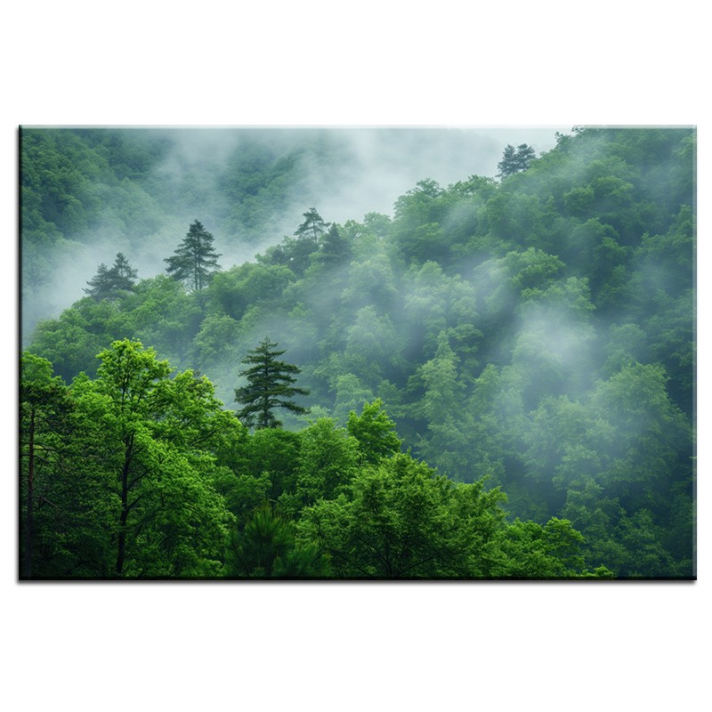 Obraz Mgliste Zacisze Lasu nr 10108