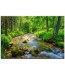 Rzeczka w Lesie – Obraz nr 10112