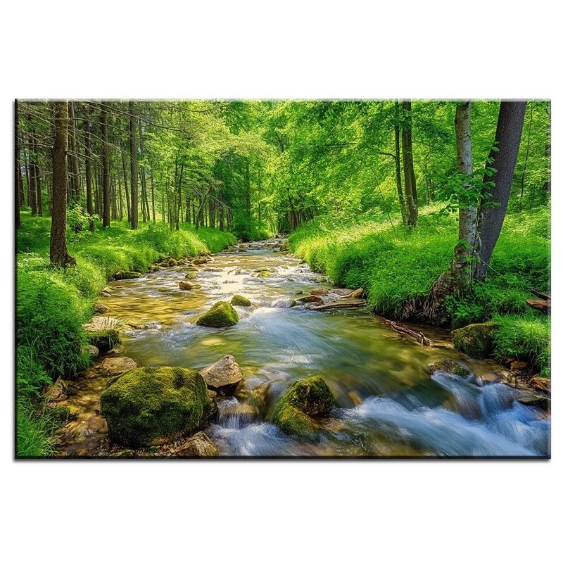 Rzeczka w Lesie – Obraz nr 10112