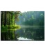 Obraz Las na Jeziorem nr 10121