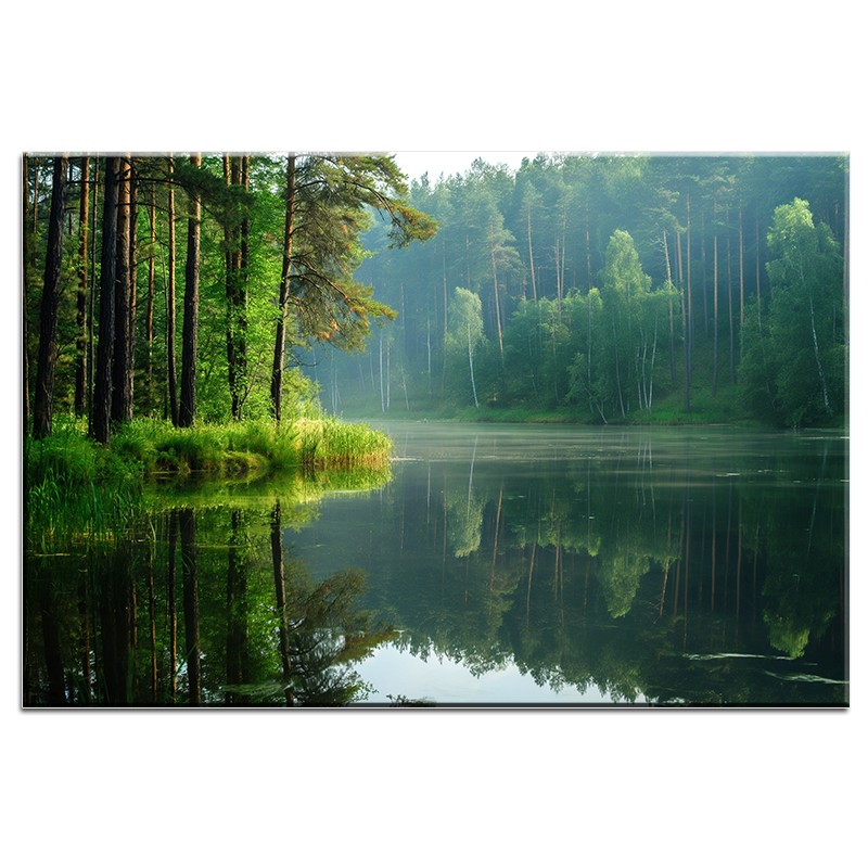 Obraz Las na Jeziorem nr 10121