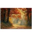 Las Jesienią – Obraz nr 10123