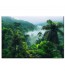 Obraz Dżungla nr 10157
