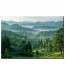 Krajobraz Zielonej Doliny Obraz nr 10172
