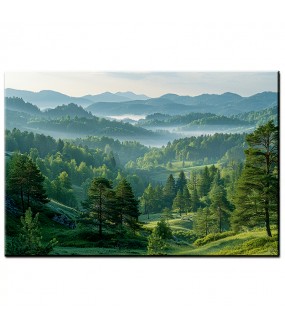 Krajobraz Zielonej Doliny Obraz nr 10172