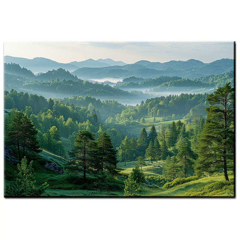 Krajobraz Zielonej Doliny Obraz nr 10172