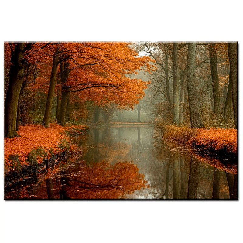 Pomarańczowy Las Jesienią – Obraz nr 10173