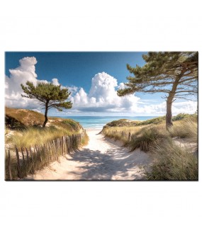 Sosny nad Bałtykiem – Obraz nr 10193