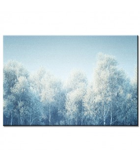 Biały Las – Obraz nr 10196