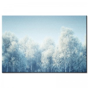 Obraz Biały Las – nr 10196