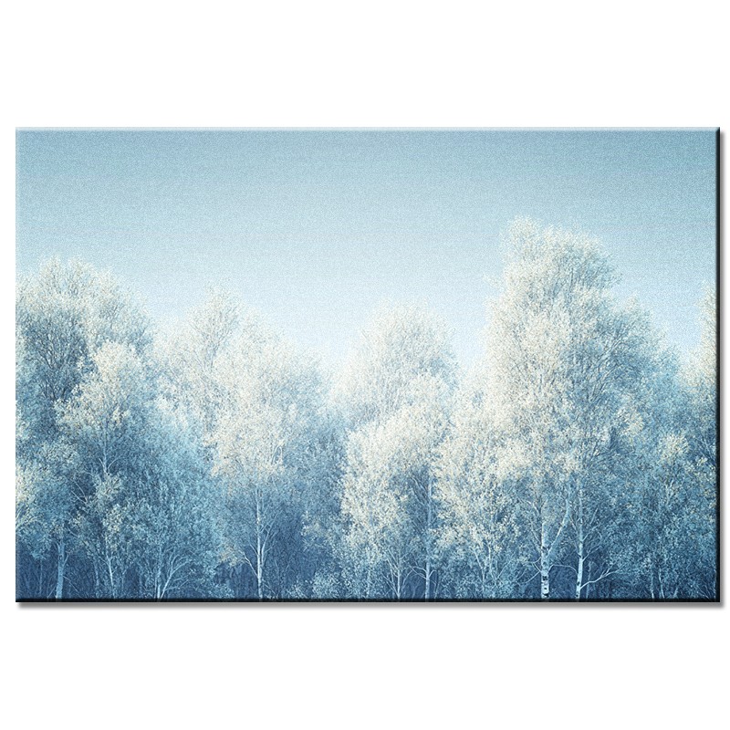 Obraz Biały Las – nr 10196