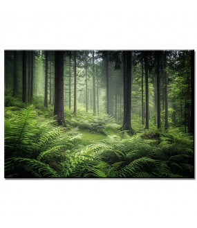 Paprocie w Lesie – Obraz nr 10197