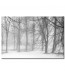 Obraz Las we Mgle