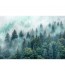 Tapeta na ścianę Las we Mgle