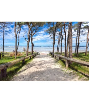 Fototapeta wejście na plażę Bałtyku