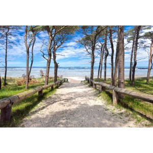 Fototapeta wejście na plażę Bałtyku