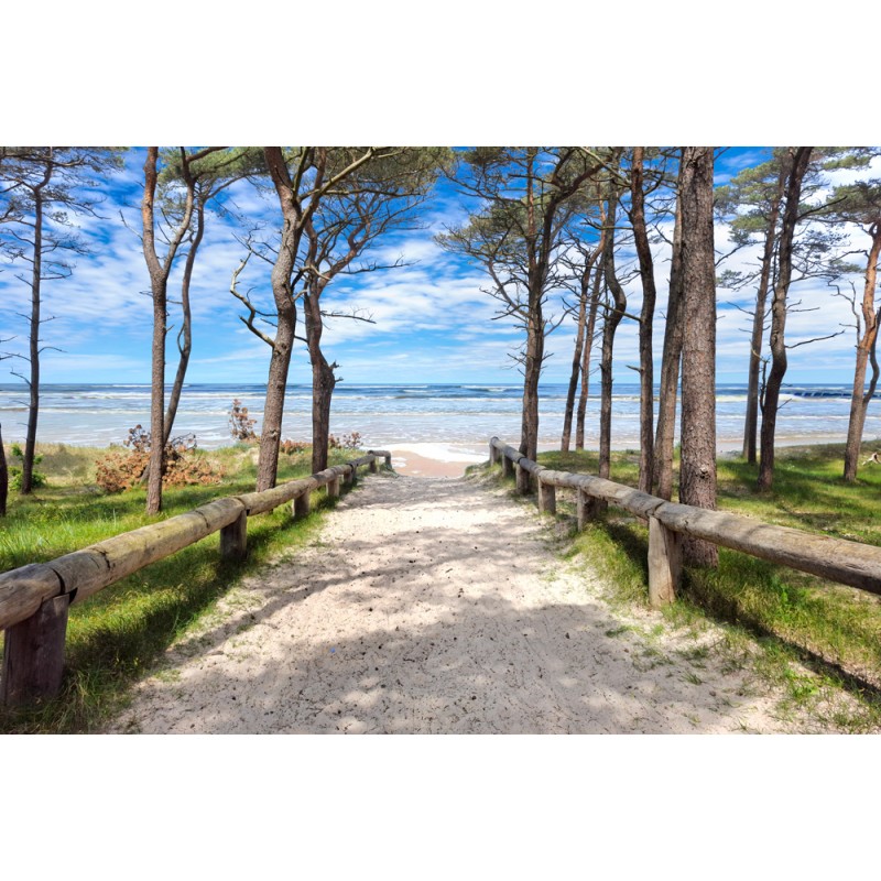 Fototapeta wejście na plażę Bałtyku
