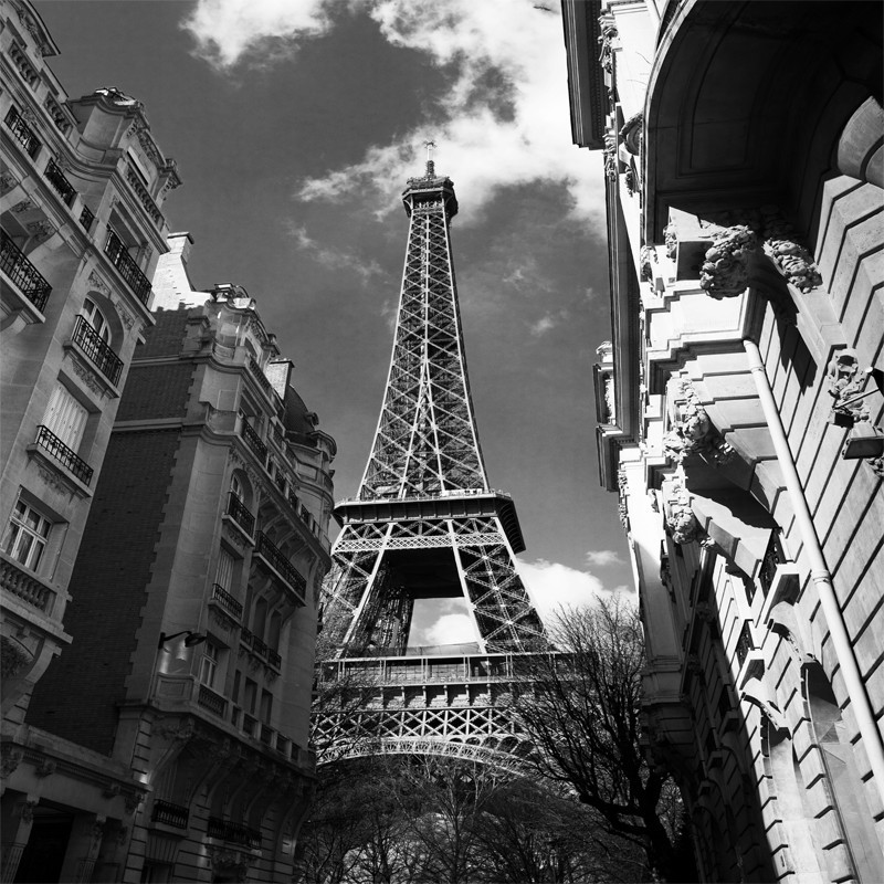 Fototapeta czarno biała wieża Eiffela 