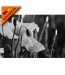 Fototapeta biały kwiat maków