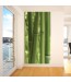 Foto-tapeta bambus ciemno zielone