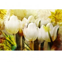 Fototapeta vintage tulipany