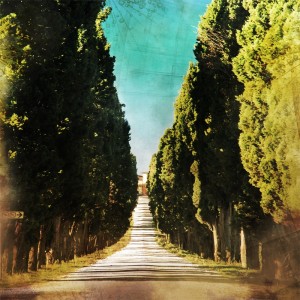 Fototapeta retro - Prowansja