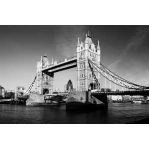 Obraz Tower Bridge w Londynie nr 2063