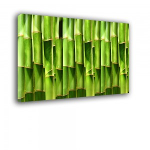 Ozdoba ściany w formie obrazu bambusy nr 2159